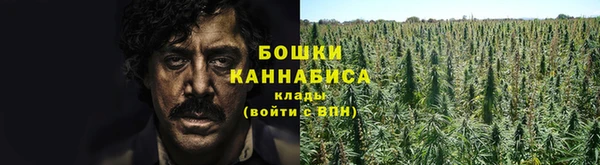 PSILOCYBIN Няндома