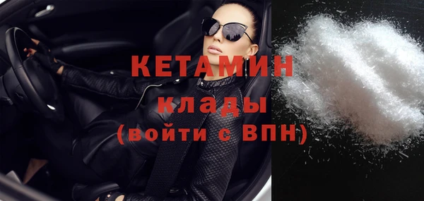 трава Новозыбков