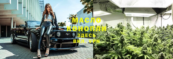 PSILOCYBIN Няндома