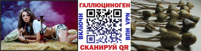 Псилоцибиновые грибы прущие грибы  Тарко-Сале 